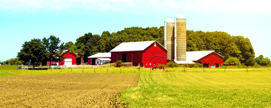 Car Accident Lawyer In Mclean Ky Dans Decatur Farm Accident Lawyer Peoria County Tractor and Grain Bin ...