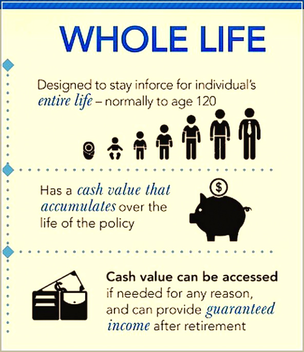 Car Insurance In Delaware In Dans How Does whole Life Insurance Work as An Investment