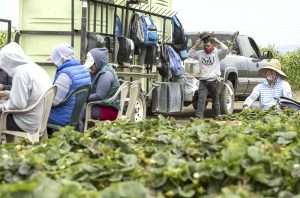 Car Rental software In Salinas Pr Dans Newsom Doubles Down On Sheltering Farmworkers Despite Few Takers ...