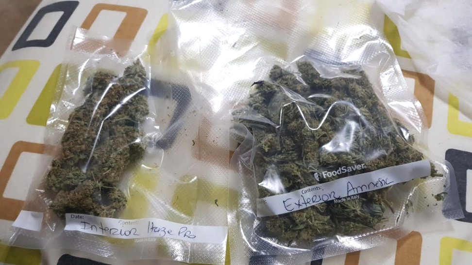 Cheap Vpn In Dorado Pr Dans Canariasweed – Prar Marihuana En Las Palmas De Gran Canaria En