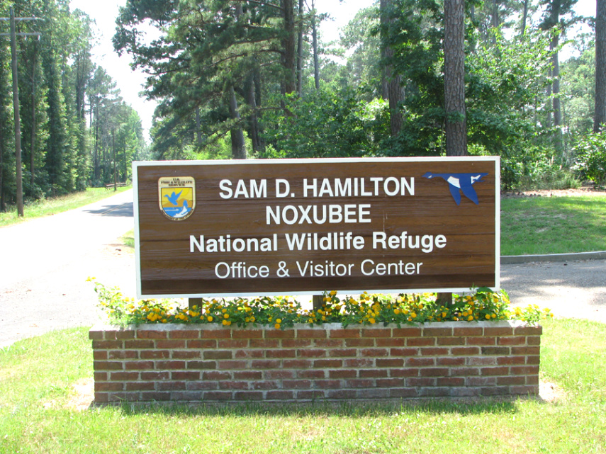 Cheap Vpn In Noxubee Ms Dans Sam D. Hamilton Noxubee National Wildlife Refuge - Wikipedia