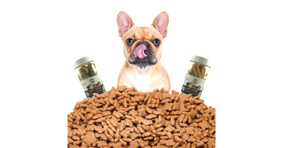 Small Business software In Carolina Pr Dans A south Carolina Pany Launches Cbd Treats that Promote Dog Health