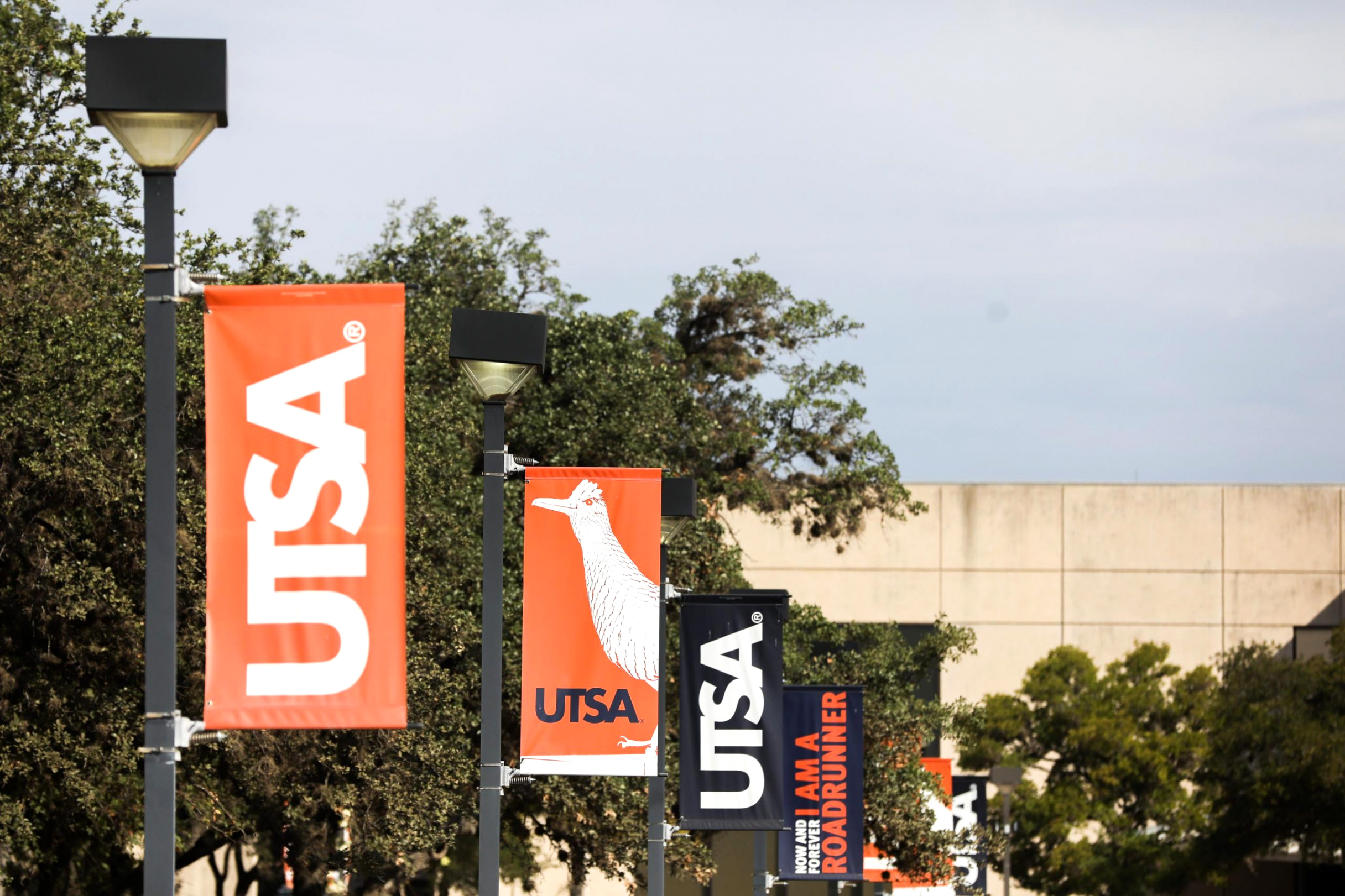 Small Business software In Guadalupe Tx Dans Utsa's Free Tuition Program Will Serve More Students In 2022