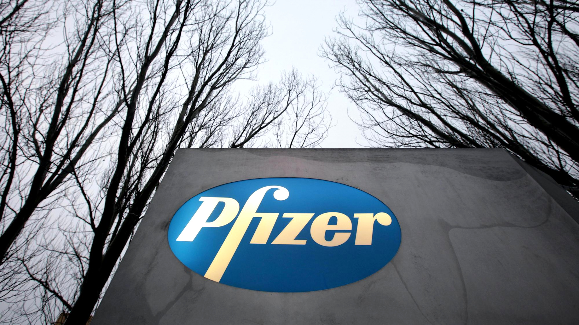 Small Business software In Mcpherson Ks Dans Pfizer Gives Markets Another Vaccine Boost