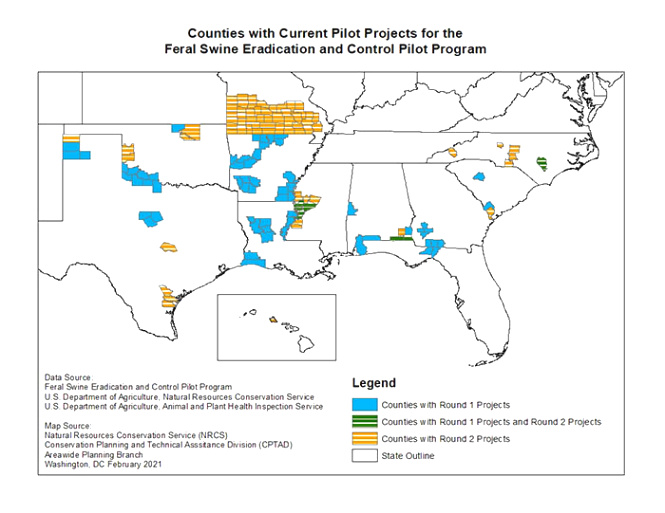 Small Business software In Red River La Dans Feral Swine Eradication and Control Pilot Program Nrcs