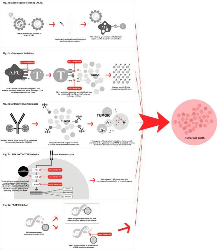 Vpn Services In Fayette Il Dans Rational Design for Cervical Cancer therapeutics: Cellular and Non ...