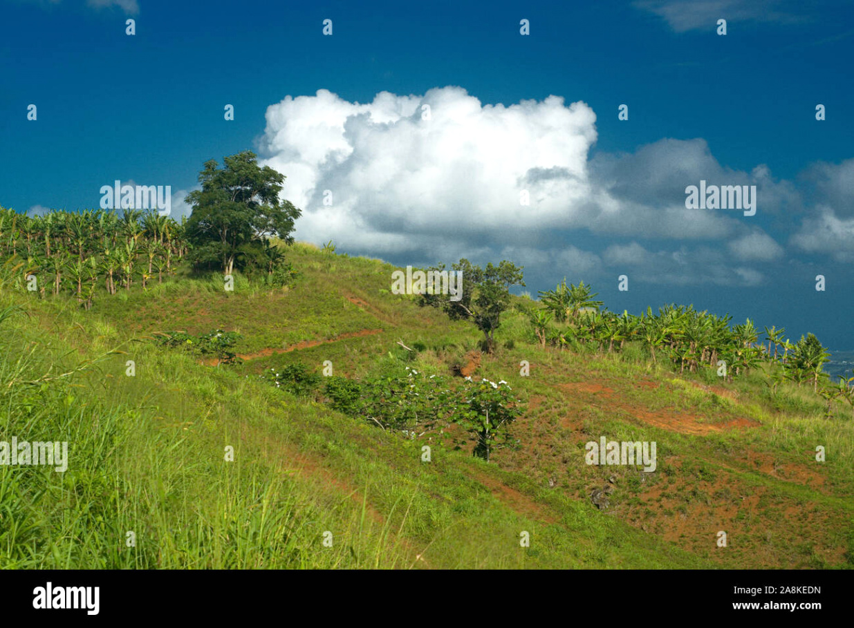 Car Accident Lawyer In orocovis Pr Dans Morovis Hi-res Stock Photography and Images - Alamy