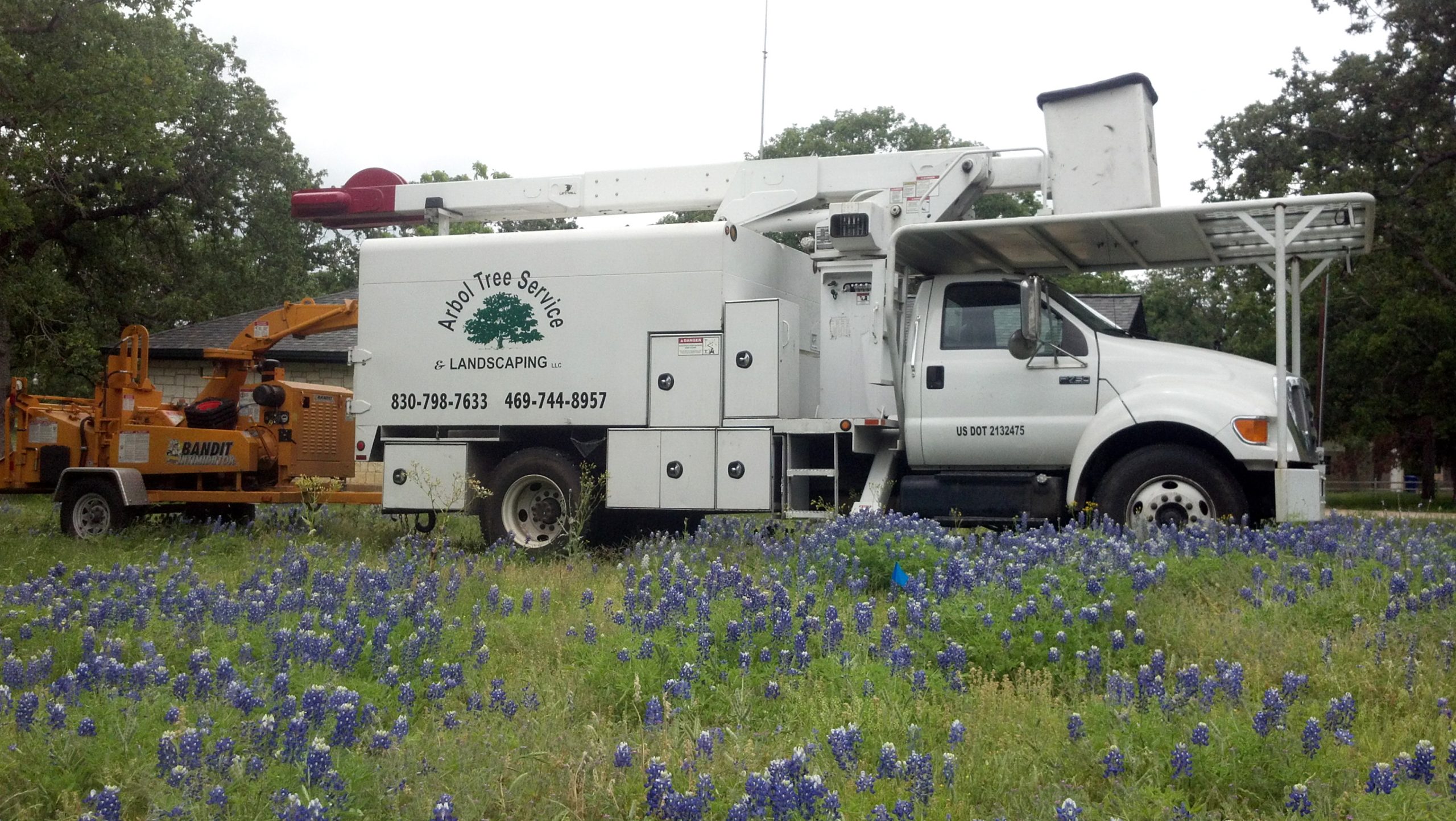 Car Insurance In Polk or Dans Arbol Tree Services 1822 E Polk St Burnet Tx Closed Yp