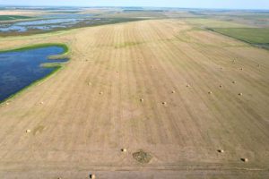 Small Business software In Faulk Sd Dans Land for Sale, Farms for Sale In Faulk County, south Dakota - Land.com