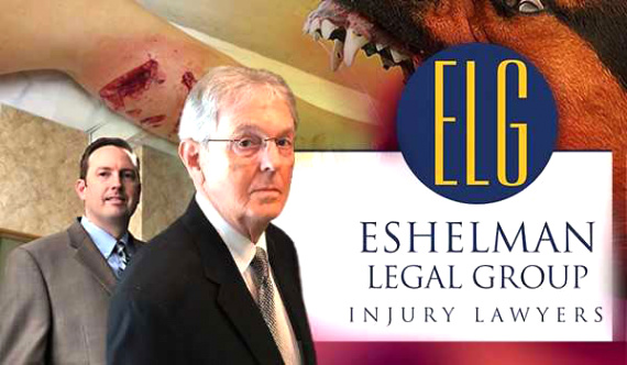 Athens Oh Car Accident Lawyer Dans Animal Injury Lawyers