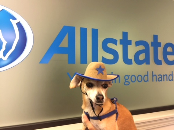 Car Insurance In Collin Tx Dans Allstate