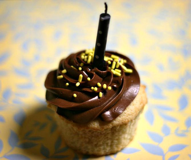 Car Insurance In Iron Wi Dans Amy Sedaris Vanilla Cupcakes with Whipped Chocolate Ganache Frosting