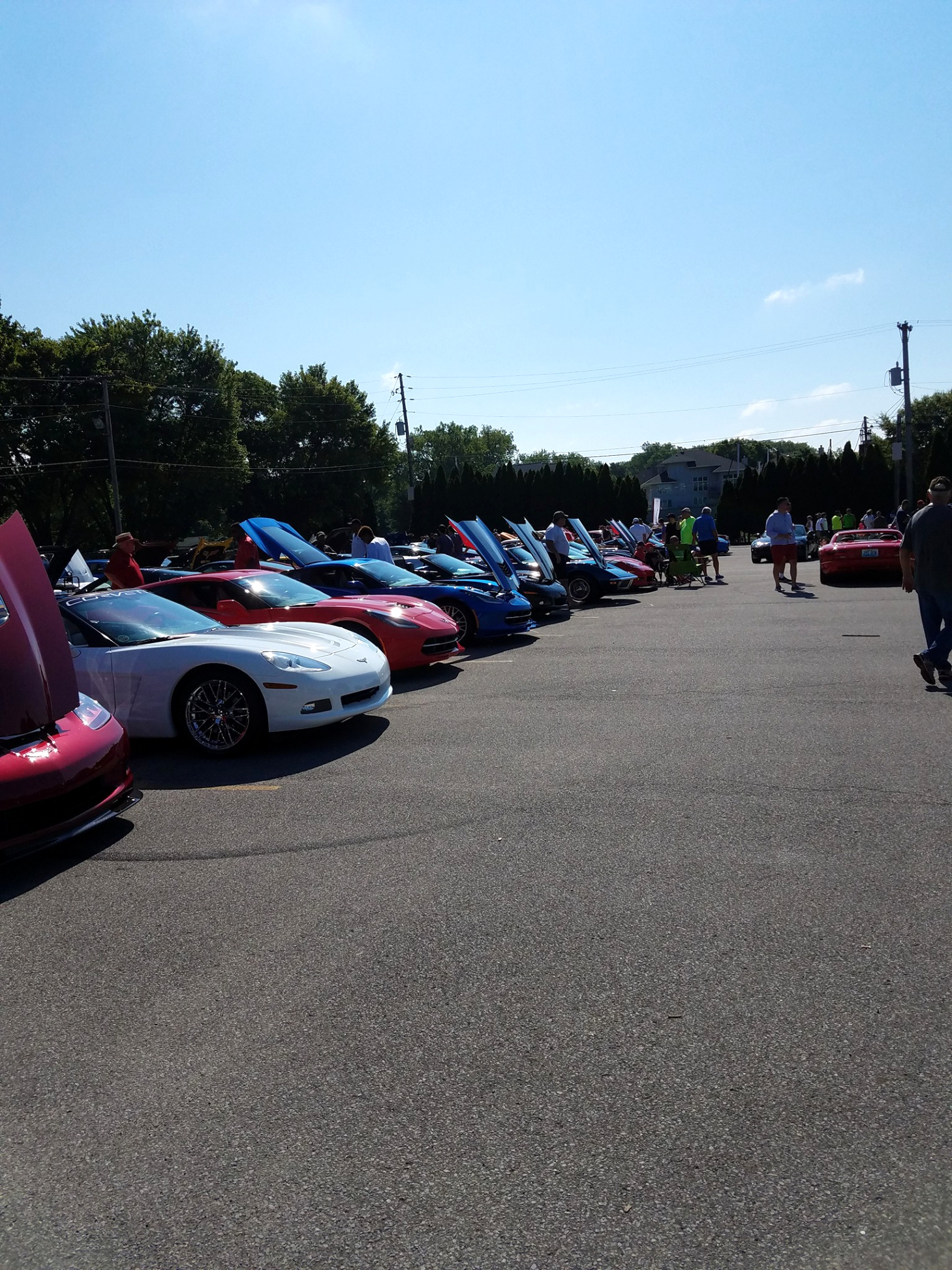 Car Insurance In Woodford Ky Dans Louisville Ky Cars and Coffee