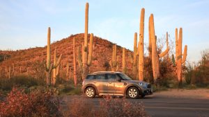 Car Rental software In Gila Az Dans Road Trip to See Saguaro National Park - Pursuits with Enterprise ...