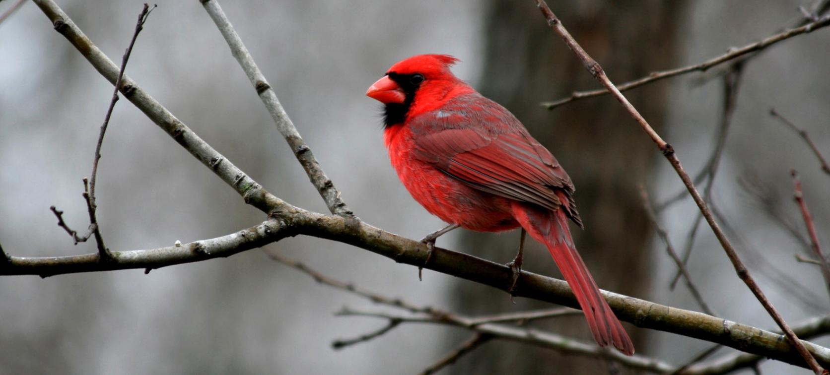 Car Rental software In Goliad Tx Dans Goliad State Park & Historic Site â Texas Parks & Wildlife Department