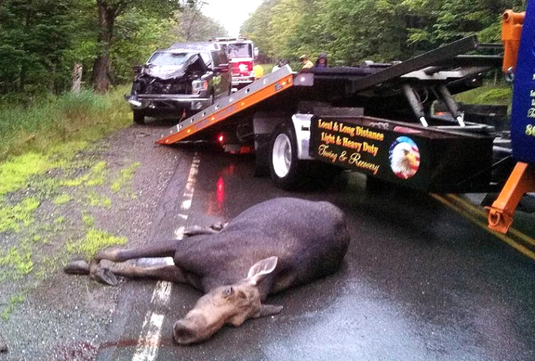 Elk Ks Car Accident Lawyer Dans Moose Car Accident