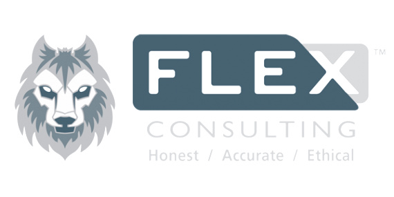 Small Business software In Harrison In Dans Pany Profile Flex Consulting