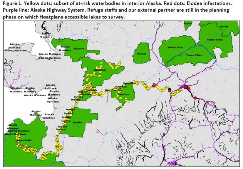 Yukon-koyukuk Ak Car Accident Lawyer Dans May 2020 â Friends Of Alaska National Wildlife Refuges