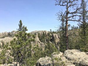 Car Accident Lawyer In Custer Sd Dans Black Hills National forest - Black Hills National forest