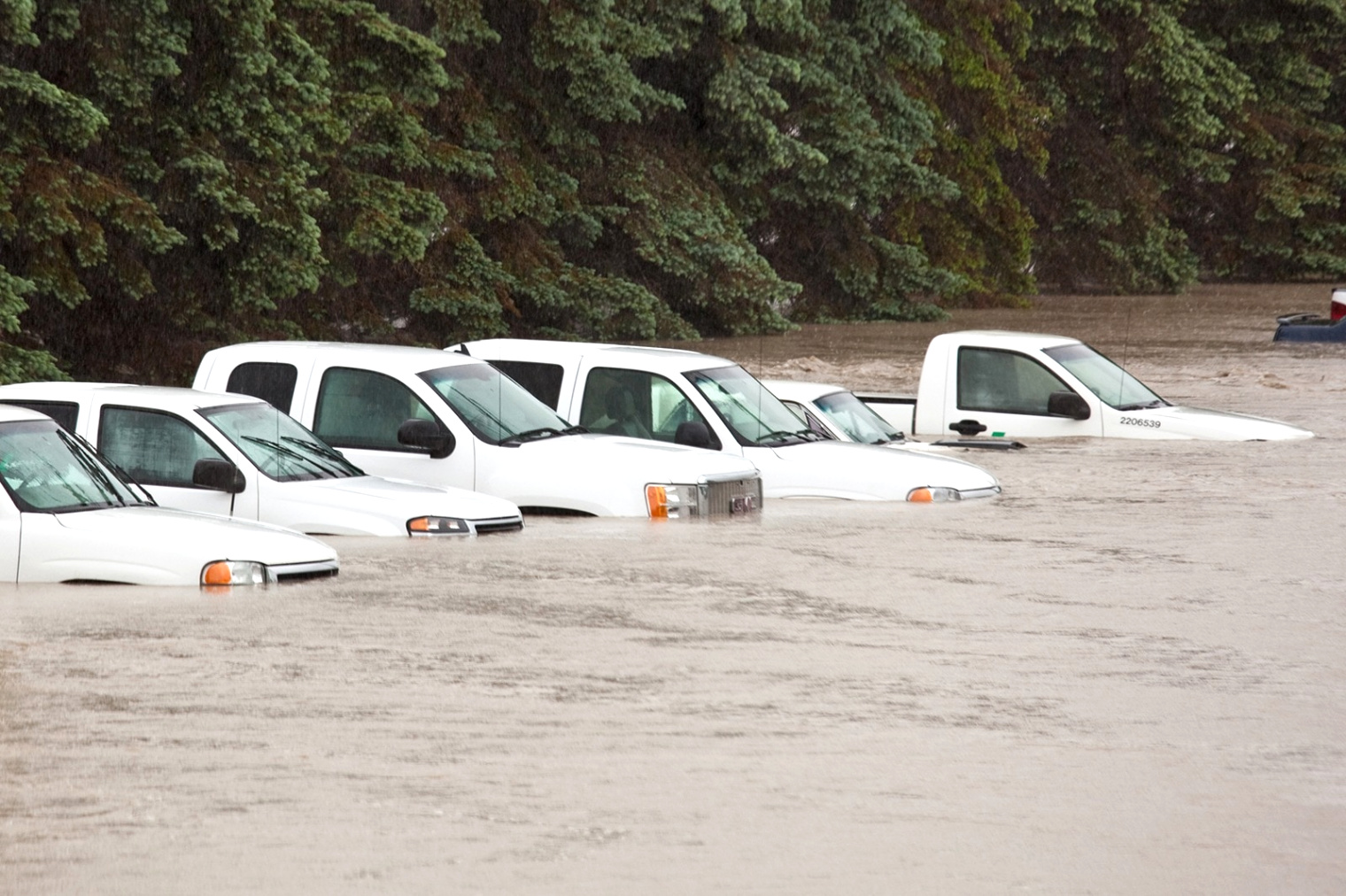 Car Insurance In Jasper In Dans How to Avoid Buying A Flood Damaged Car