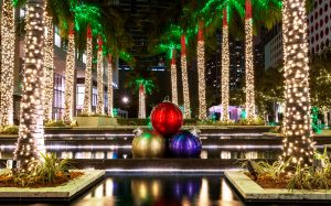 Car Insurance In Miami In Dans Things to Do for Christmas In Miami