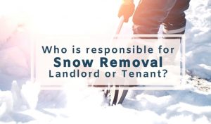 Car Rental software In Laporte In Dans Am I Responsible for Snow Removal at My Rental Property?