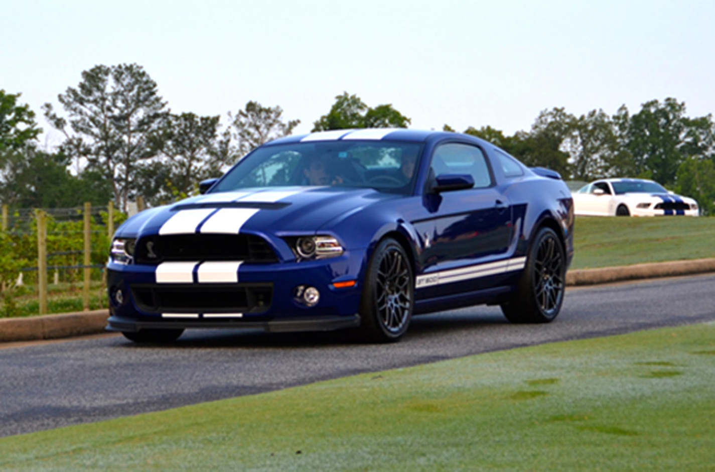 Car Rental software In Shelby Tx Dans ford Shelby Gt500 A 200 Mph Speed Demon