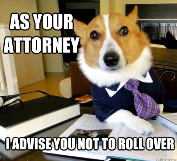 Car Accident Lawyer Greensboro Dans the Best Of Lawyer Dog An Internet Meme